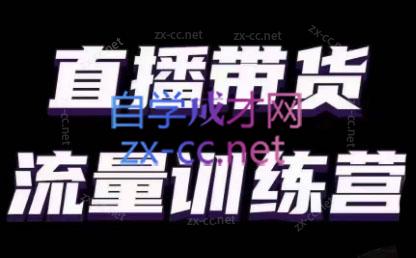 婉婉·直播带货课程系列合集(更新8月)-兵兵资源