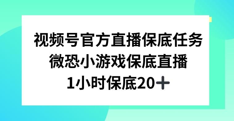 视频号直播任务，微恐小游戏，1小时20+【揭秘】-兵兵资源