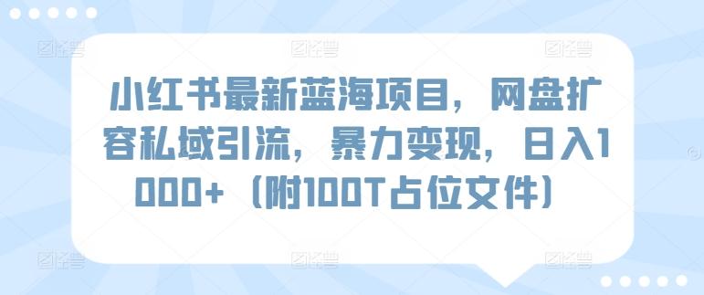 小红书最新蓝海项目，网盘扩容私域引流，暴力变现，日入1000+(附100T占位文件)【揭秘】-兵兵资源
