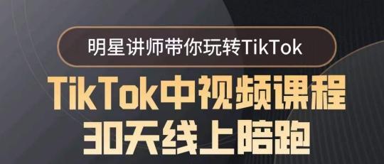 TikTok中视频课程30天线上陪跑，明星讲师带你玩转TikTok-兵兵资源