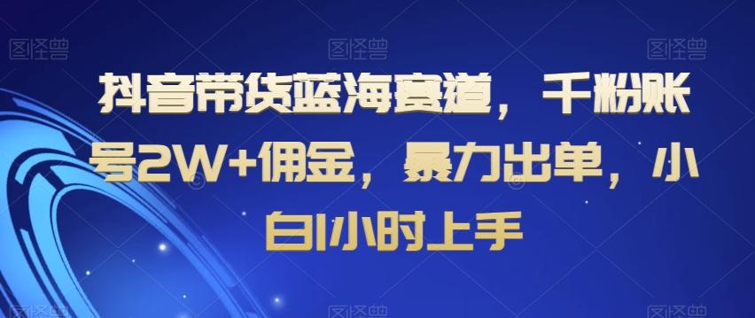 抖音带货蓝海赛道，千粉账号2W+佣金，暴力出单，小白1小时上手【揭秘】-兵兵资源