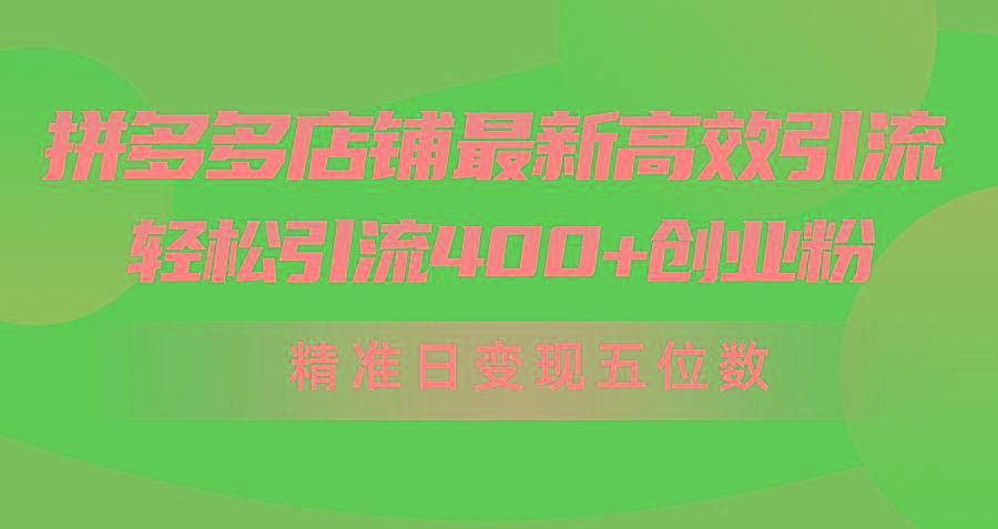 (10041期)拼多多店铺最新高效引流术，轻松引流400+创业粉，精准日变现五位数！-兵兵资源