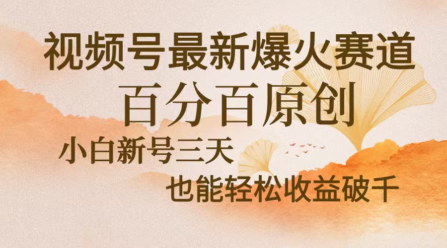 视频号最新爆火赛道，中老年粉深信不疑，百分百原创，新号三天收益轻松…-兵兵资源