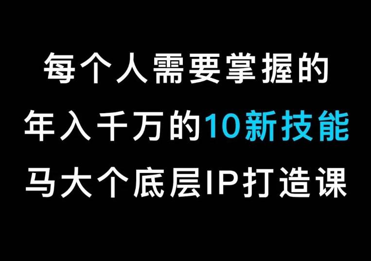 马大个的IP底层逻辑课，​每个人需要掌握的年入千万的10新技能，约会底层IP打造方法！-兵兵资源