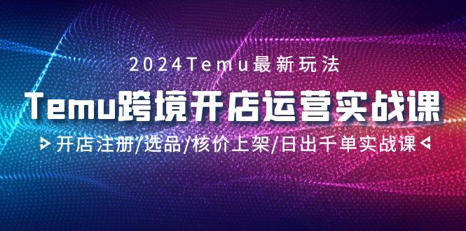 2024Temu跨境开店运营实战课，开店注册/选品/核价上架/日出千单实战课-兵兵资源