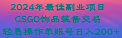 2024年最佳副业项目 CSGO饰品装备交易 轻易操作单账号日入200+-兵兵资源