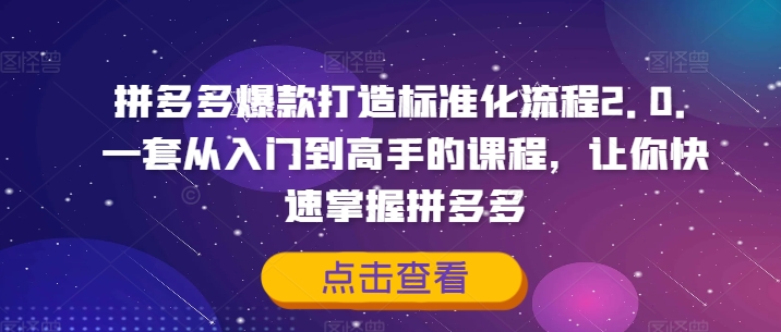 拼多多爆款打造标准化流程2.0，一套从入门到高手的课程，让你快速掌握拼多多-兵兵资源