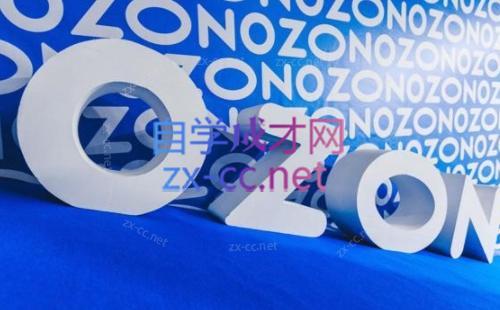 森哥·出海俄罗斯电商实操(2024)-兵兵资源