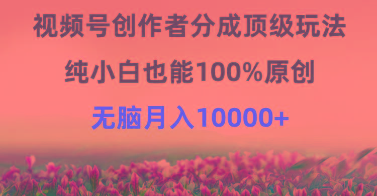 (9608期)视频号创作者分成顶级玩法，纯小白也能100%原创，无脑月入10000+-兵兵资源