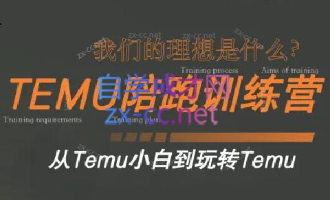 苗苗·拼多多跨境（temu）课程-兵兵资源