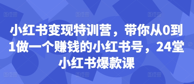 小红书变现特训营，带你从0到1做一个赚钱的小红书号，24堂小红书爆款课-兵兵资源