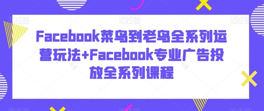Facebook菜鸟到老鸟全系列运营玩法+Facebook专业广告投放全系列课程-兵兵资源