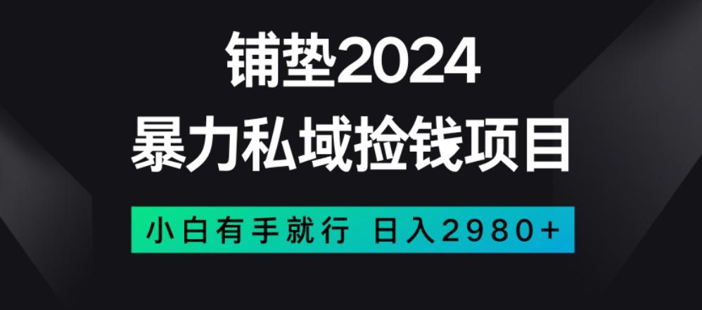 暴力私域捡钱项目，小白无脑操作，日入2980【揭秘】-兵兵资源