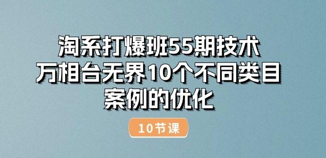 淘系打爆班55期技术：万相台无界10个不同类目案例的优化(10节)-兵兵资源
