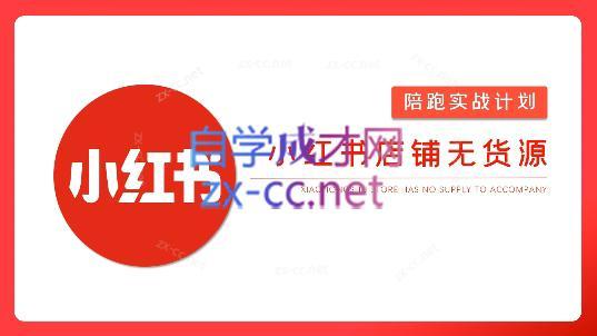 安琪·小红书店铺无货源-兵兵资源