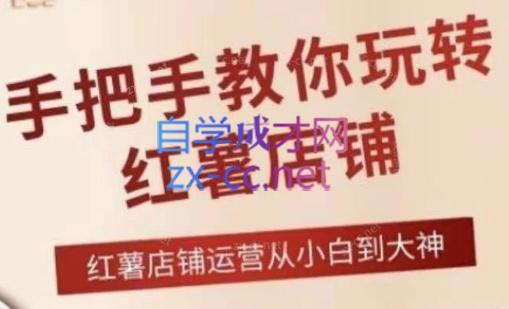 海燕老师·2024手把手教你玩转红薯店铺-兵兵资源