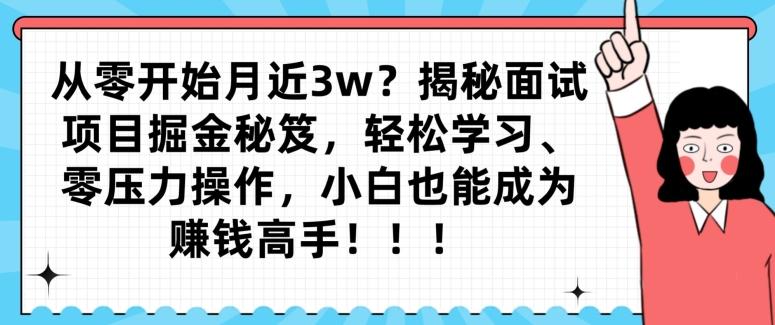 从零开始月近3w？揭秘面试项目掘金秘笈，轻松学习、零压力操作，小白也能成为赚钱高手-兵兵资源