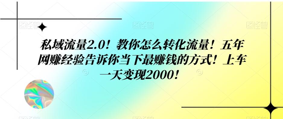 私域流量2.0！教你怎么转化流量！五年网赚经验告诉你当下最赚钱的方式！上车一天变现2000！-兵兵资源