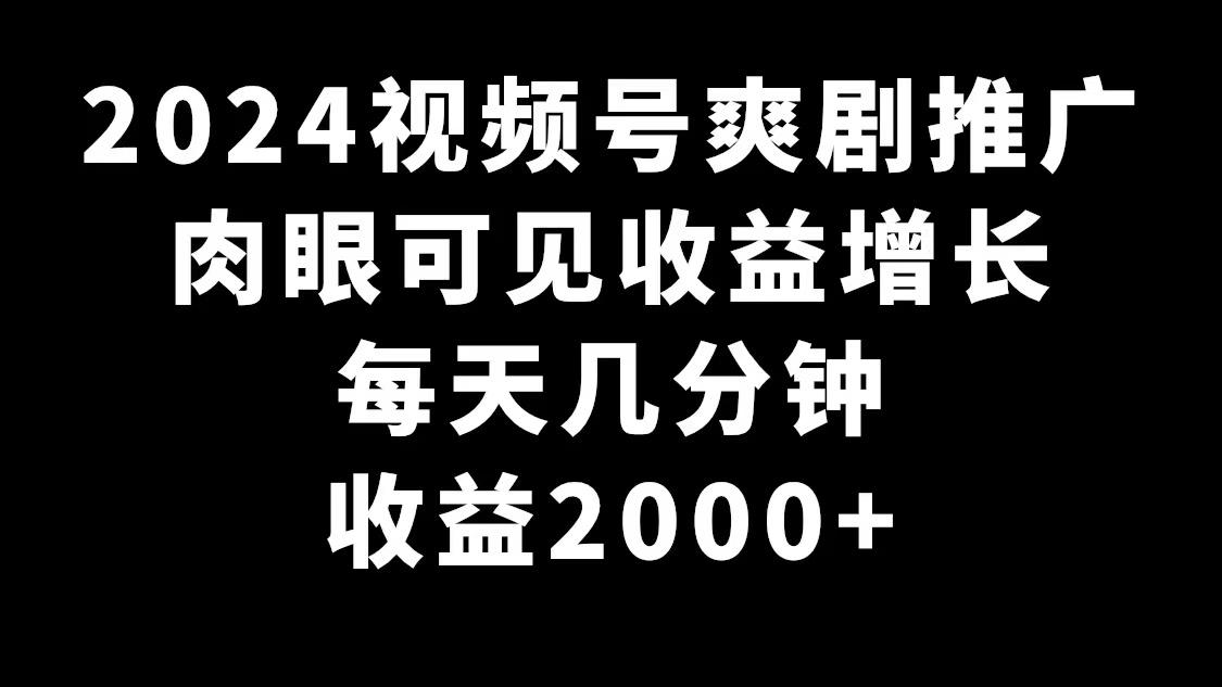2024视频号爽剧推广，肉眼可见的收益增长，每天几分钟收益2000+-兵兵资源