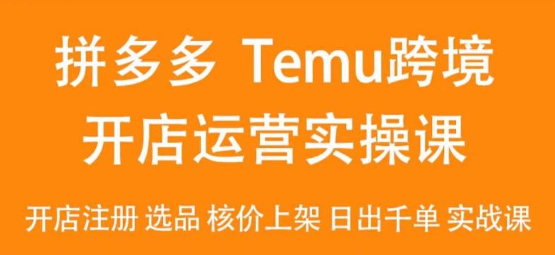 2024Temu最新玩法，Temu跨境开店运营实操课，开店注册/选品/核价上架/日出千单实战课-兵兵资源