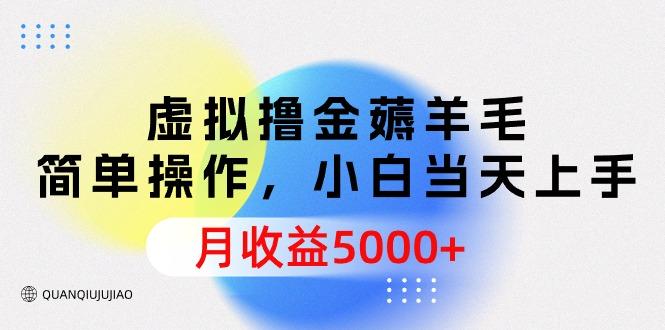 (9864期)虚拟撸金薅羊毛，简单操作，小白当天上手，月收益5000+-兵兵资源