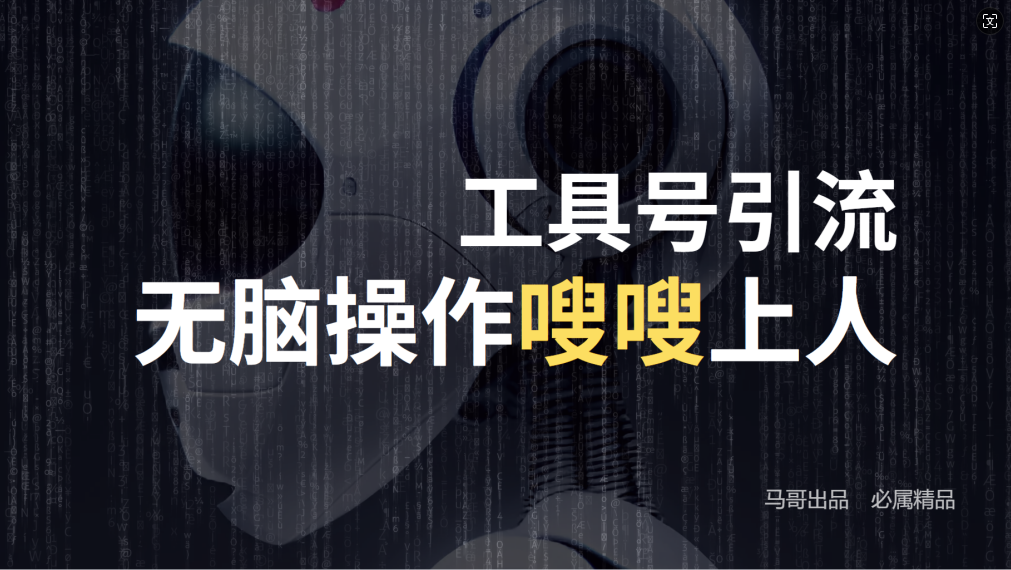24年抖音最新工具号日引流300+创业粉，日入5000+-兵兵资源