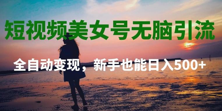 短视频美女号无脑引流，全自动变现，新手也能日入500+-兵兵资源