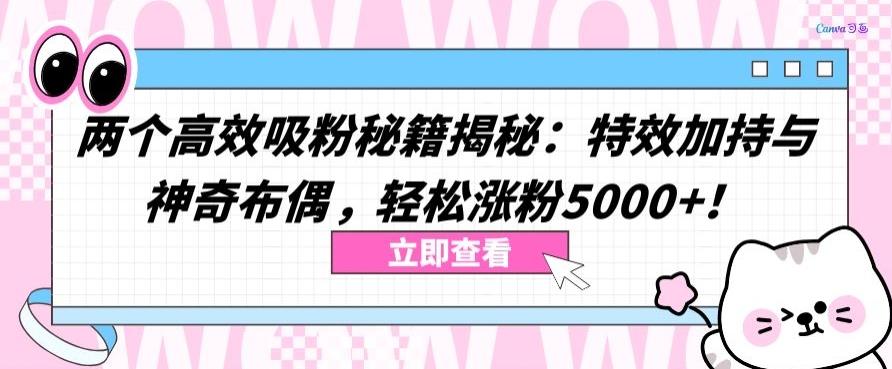 两个高效吸粉秘籍揭秘：特效加持与神奇布偶，轻松涨粉5000+【揭秘】-兵兵资源