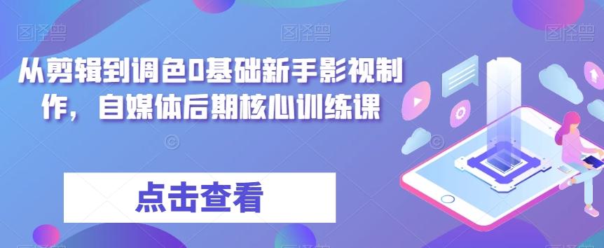 从剪辑到调色0基础新手影视制作，自媒体后期核心训练课-兵兵资源