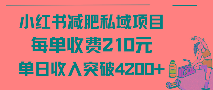 (9466期)小红书减肥私域项目每单收费210元单日成交20单，最高日入4200+-兵兵资源