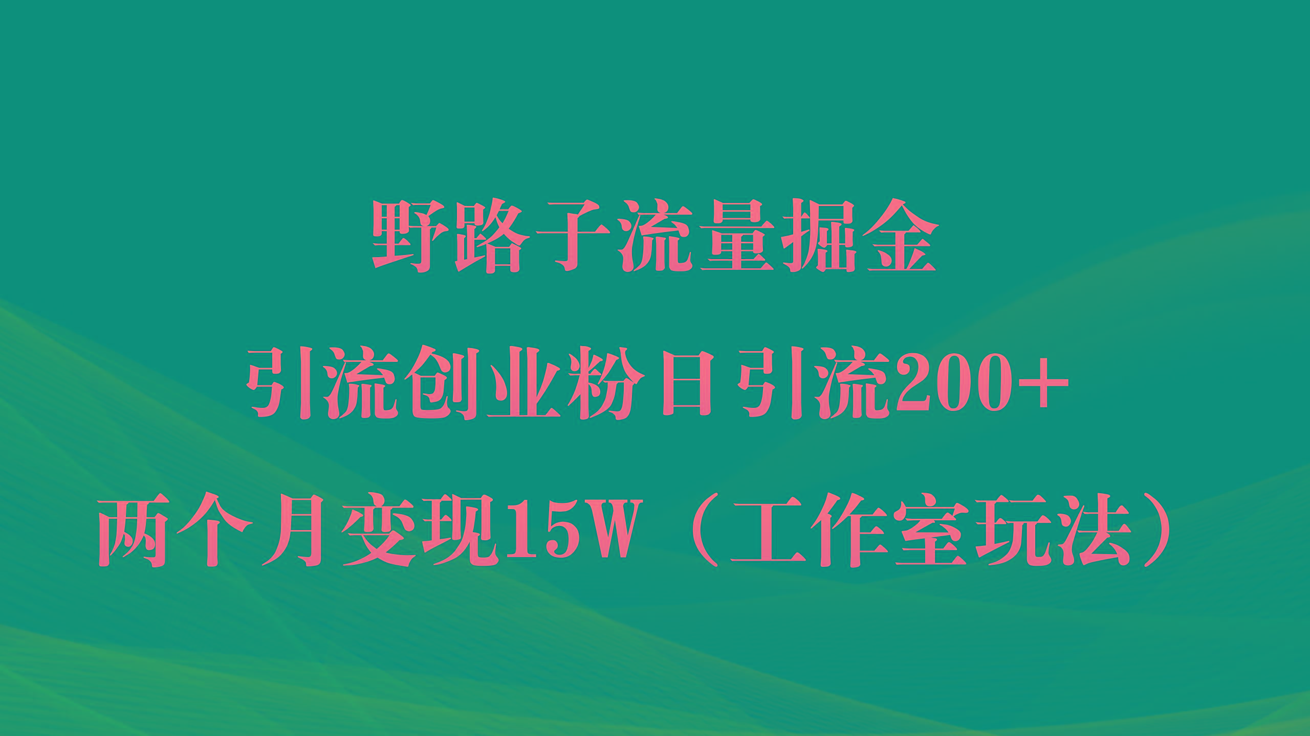 (9513期)野路子流量掘金，引流创业粉日引流200+，两个月变现15W(工作室玩法))-兵兵资源