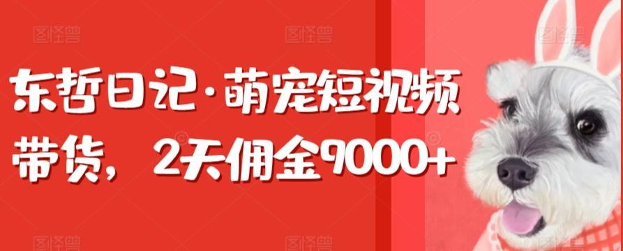 东哲日记·萌宠短视频带货，2天佣金9000+-兵兵资源