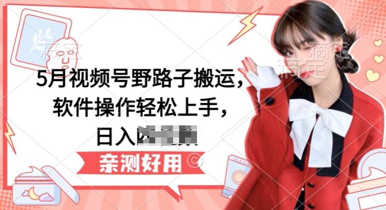 5月视频号野路子搬运，软件操作轻松上手，日入三位数【揭秘】-兵兵资源