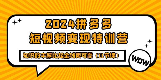 (9817期)2024拼多多短视频变现特训营，知识的丰厚比起金钱更可靠(11节课)-兵兵资源