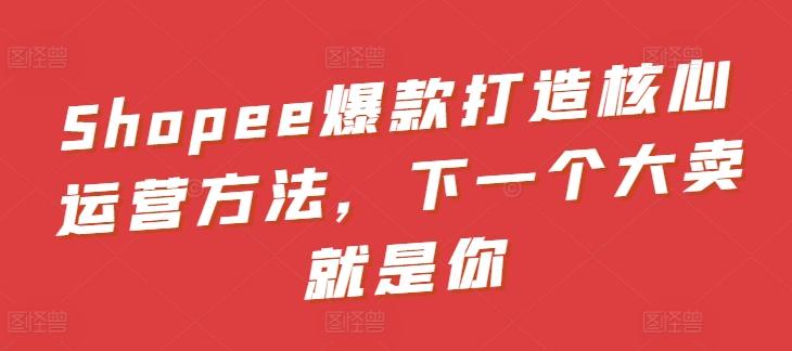 Shopee爆款打造核心运营方法，下一个大卖就是你-兵兵资源
