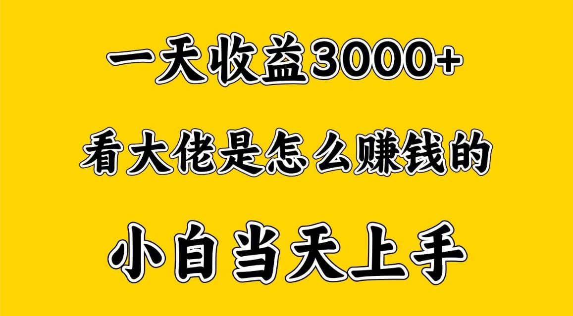 一天赚3000多，大佬是这样赚到钱的，小白当天上手，穷人翻身项目-兵兵资源