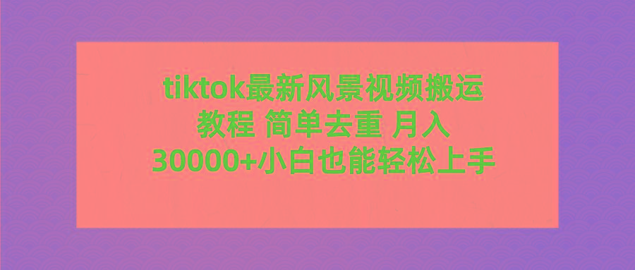 (9804期)tiktok最新风景视频搬运教程 简单去重 月入30000+附全套工具-兵兵资源