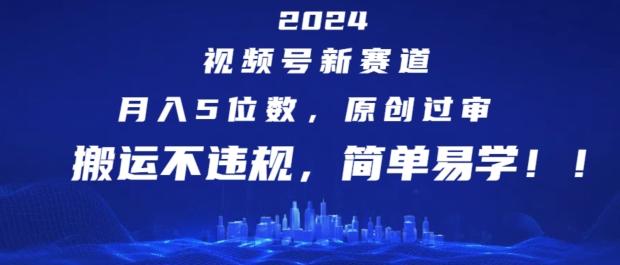 2024视频号新赛道，月入5位数+，原创过审，搬运不违规，简单易学【揭秘】-兵兵资源
