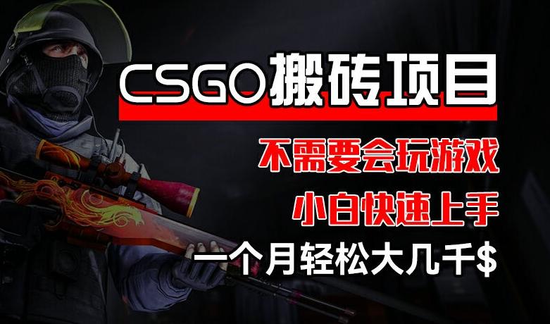 CSGO 装备搬砖项目，操作简单，不需要会玩游戏，小白也能快速上手，一个月轻松大几千【揭秘】-兵兵资源