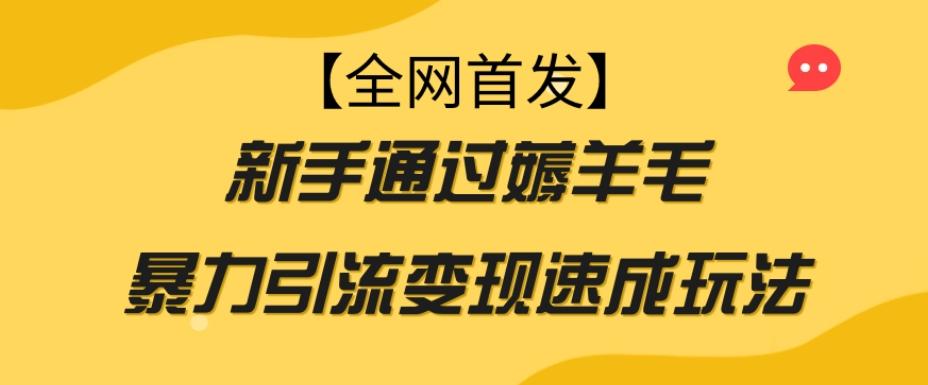 【全网首发】新手通过薅羊毛暴力引流变现速成玩法-兵兵资源