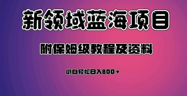 虚拟资源蓝海领域新项目，轻松日入800＋，附保姆级教程及资料-兵兵资源
