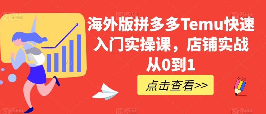 海外版拼多多Temu快速入门实操课，店铺实战从0到1-兵兵资源