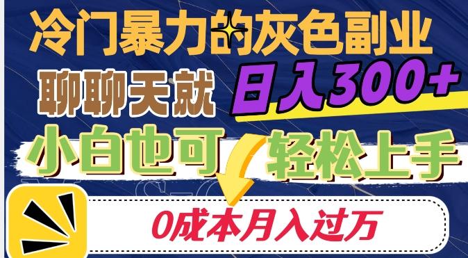 冷门暴利的副业项目，聊聊天就能日入300+，0成本月入过万【揭秘】-兵兵资源