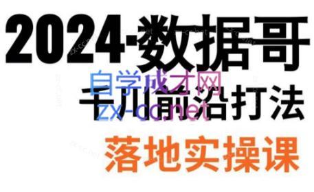 数据哥·2024年千川前沿打法落地实操课-兵兵资源
