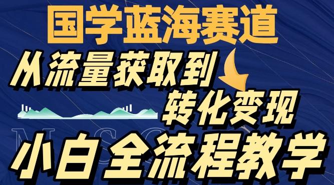 国学蓝海赛道，从流量获取，到转化变现，全流程教学-兵兵资源