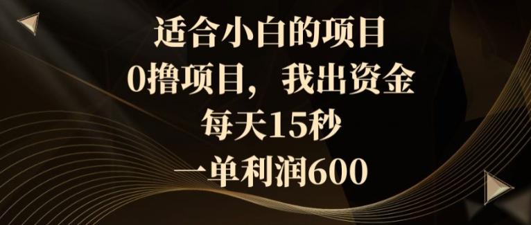 适合小白的项目，0撸项目，我出资金，每天15秒，一单利润600-兵兵资源