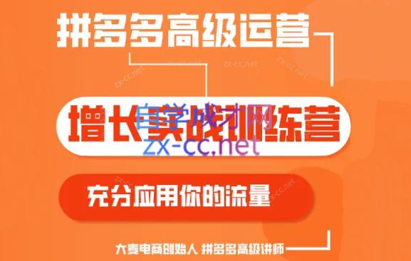 大麦老师·拼多多单品爆款打造课程(更新6月)-兵兵资源