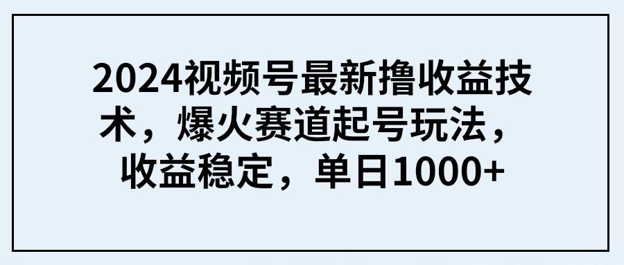(9651期) 2024视频号最新撸收益技术，爆火赛道起号玩法，收益稳定，单日1000+-兵兵资源