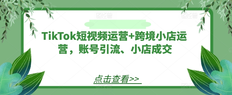 TikTok短视频运营+跨境小店运营，账号引流、小店成交-兵兵资源