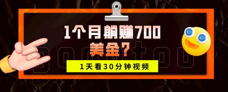 1天看30分钟视频，1个月躺赚700美金？-兵兵资源